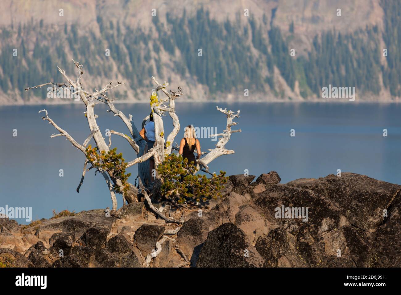 Due donne non identificabili stanno su un vecchio perlopiù pino morto Albero che sta crescendo su una scogliera rocciosa che domina il Cratere Lago al sole del tardo pomeriggio Foto Stock