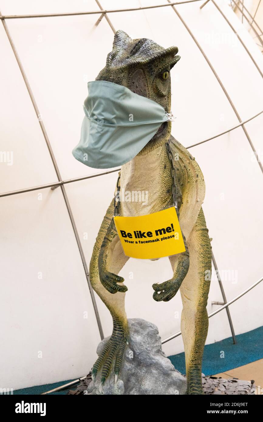 Dinosauro che indossa una maschera facciale a Dynamic Earth , Edimburgo, Scozia, Regno Unito durante la pandemia del coronavirus Foto Stock