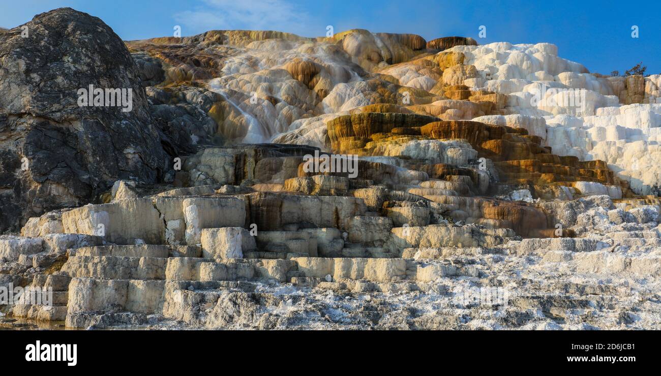 Terrazze delle sorgenti termali di Yellowstone nelle sorgenti termali di Mammoth Foto Stock