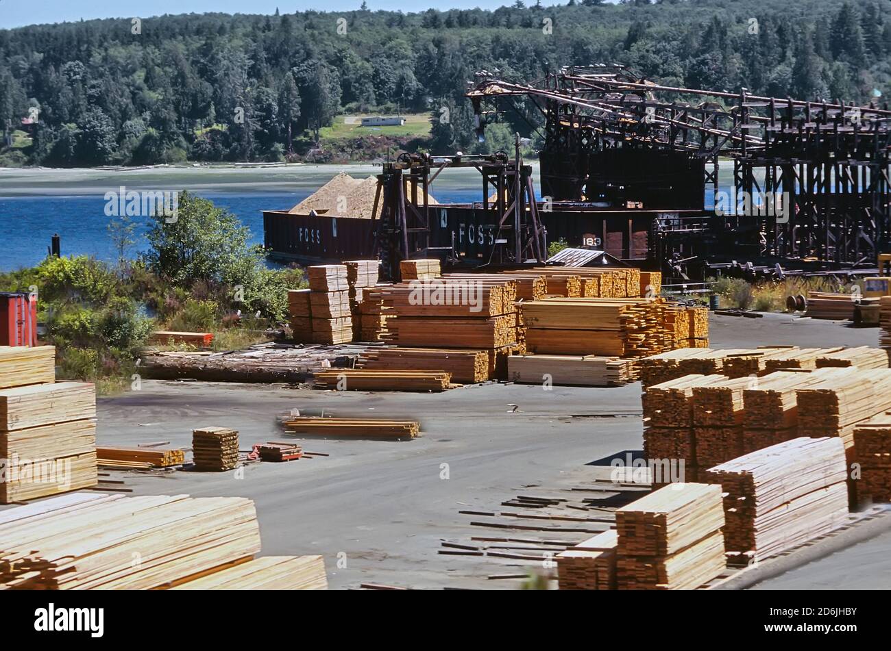 Legname, legname e l'industria dell'allevamento di alberi nello stato di Washington Foto Stock
