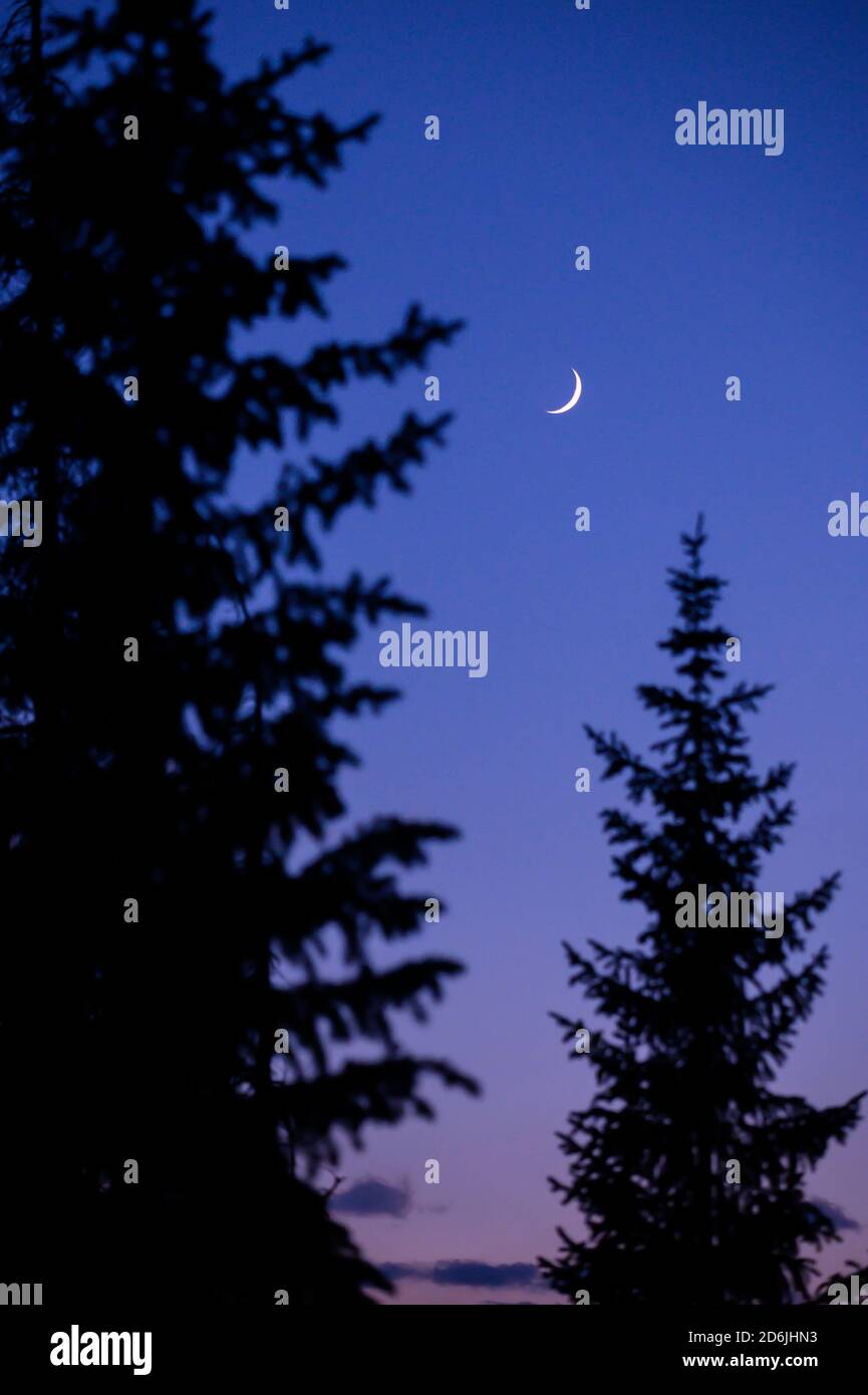 Una tranquilla scena serale in montagna con una mezzaluna luna contro un cielo blu e viola Foto Stock