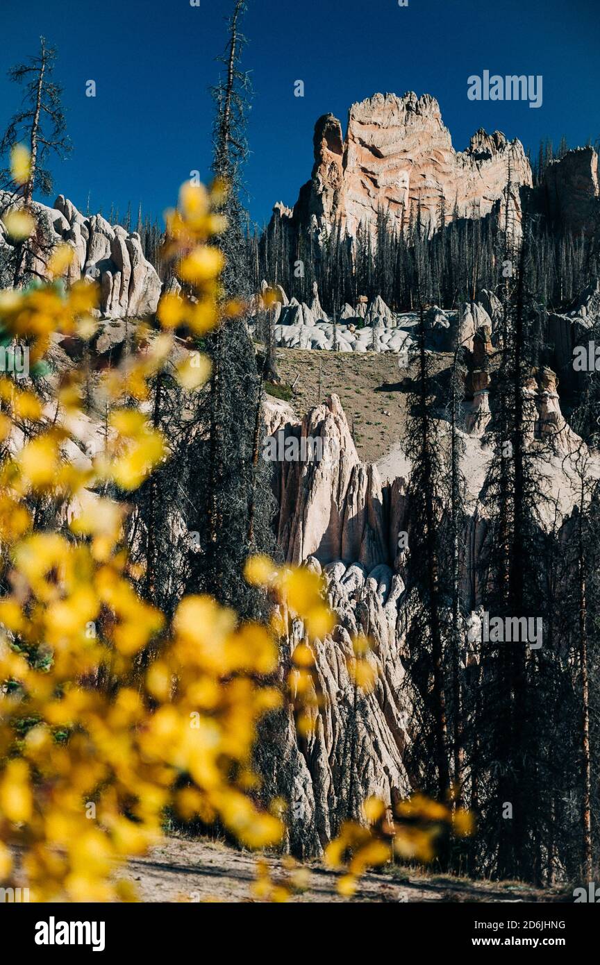 Una splendida vista sulle cadute con foglie di aspen giallo brillante una misteriosa area geologica Foto Stock