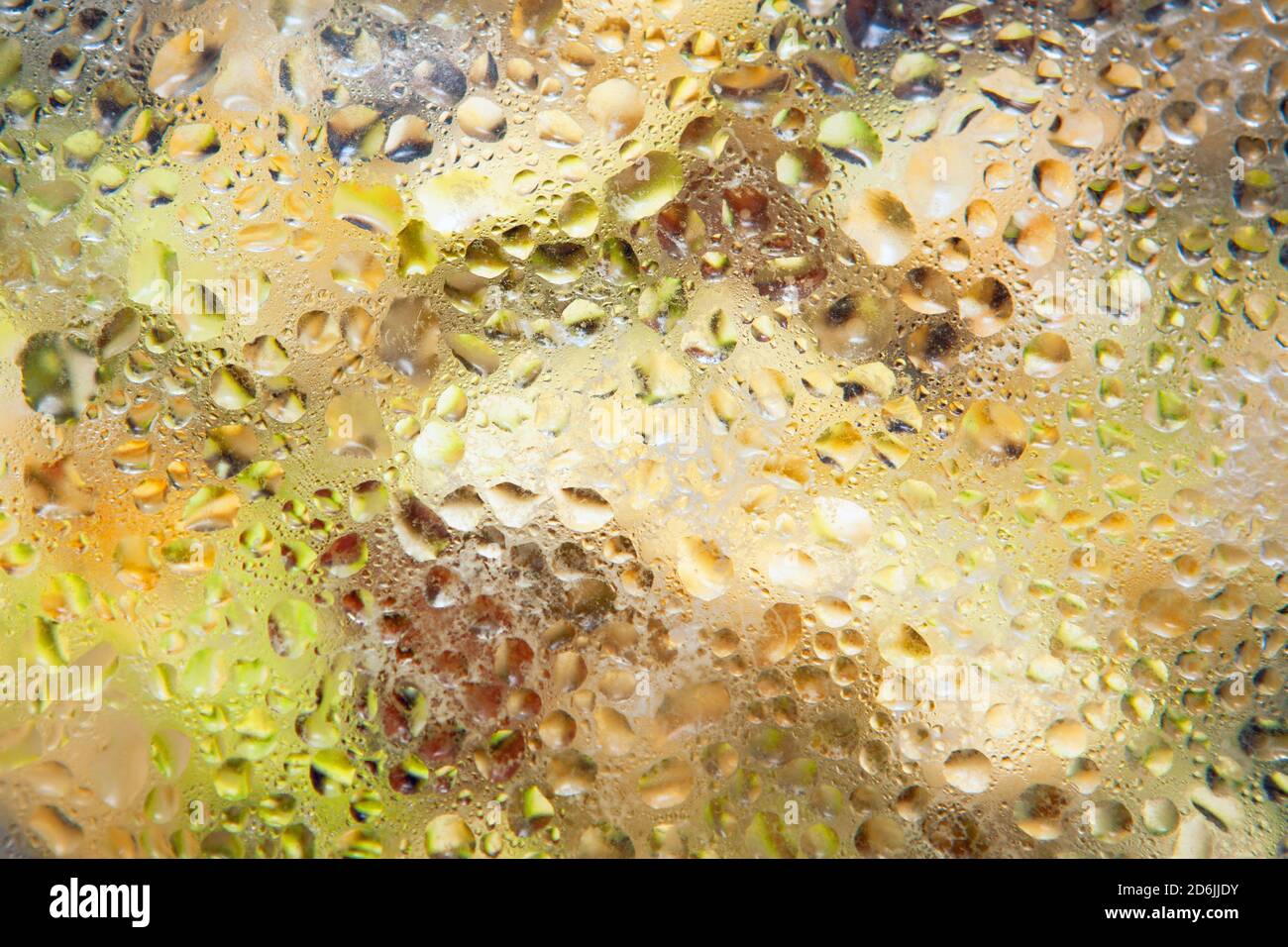 Coperchio in vetro per recipiente con cibo da cucina. Condensa sul coperchio di cottura trasparente caldo Foto Stock