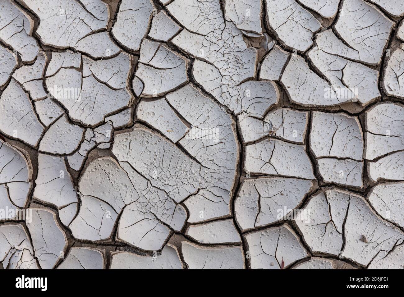 Le crepe di fango appaiono mentre una piscina temporanea si asciuga. Foto Stock