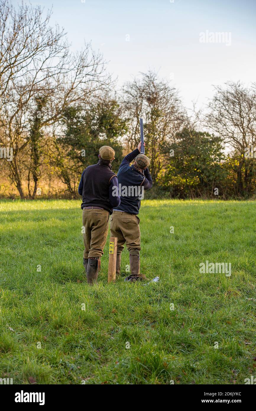 Caccia al fagiano guidato nel Lancashire, Inghilterra Foto Stock