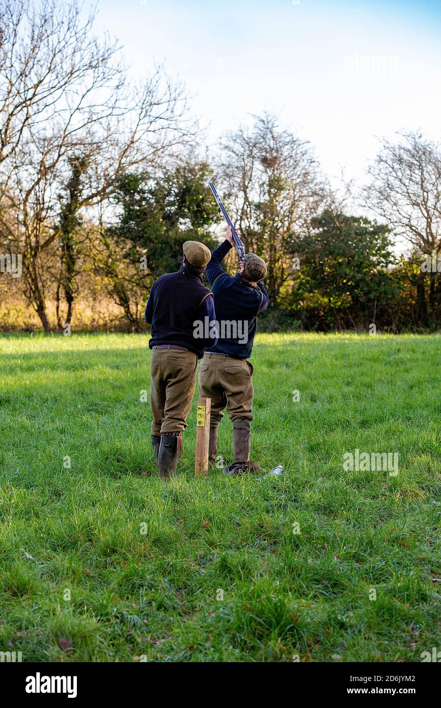 Caccia al fagiano guidato nel Lancashire, Inghilterra Foto Stock