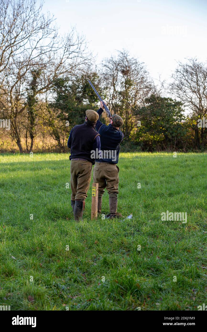 Caccia al fagiano guidato nel Lancashire, Inghilterra Foto Stock