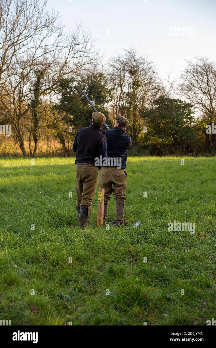 Caccia al fagiano guidato nel Lancashire, Inghilterra Foto Stock