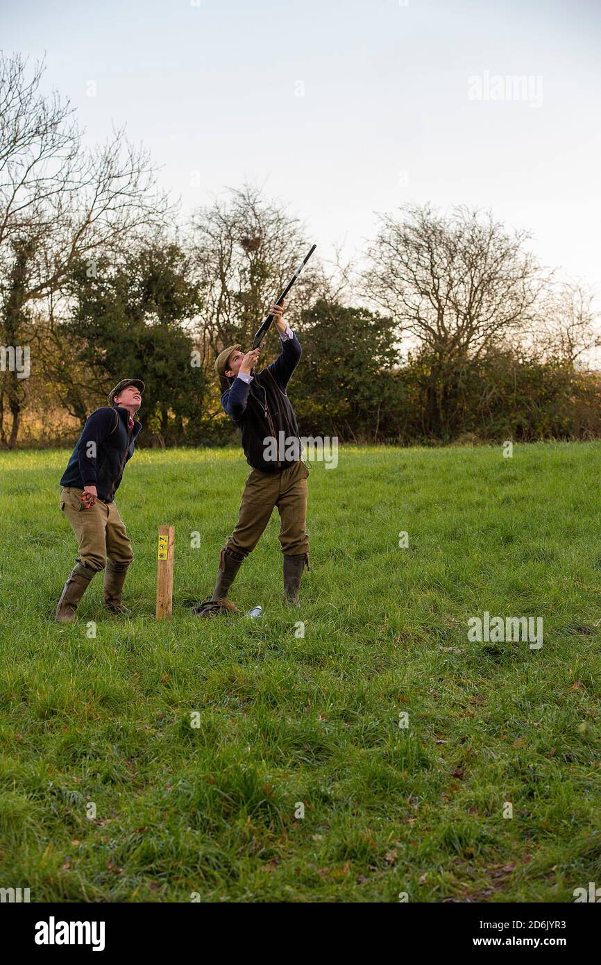 Caccia al fagiano guidato nel Lancashire, Inghilterra Foto Stock