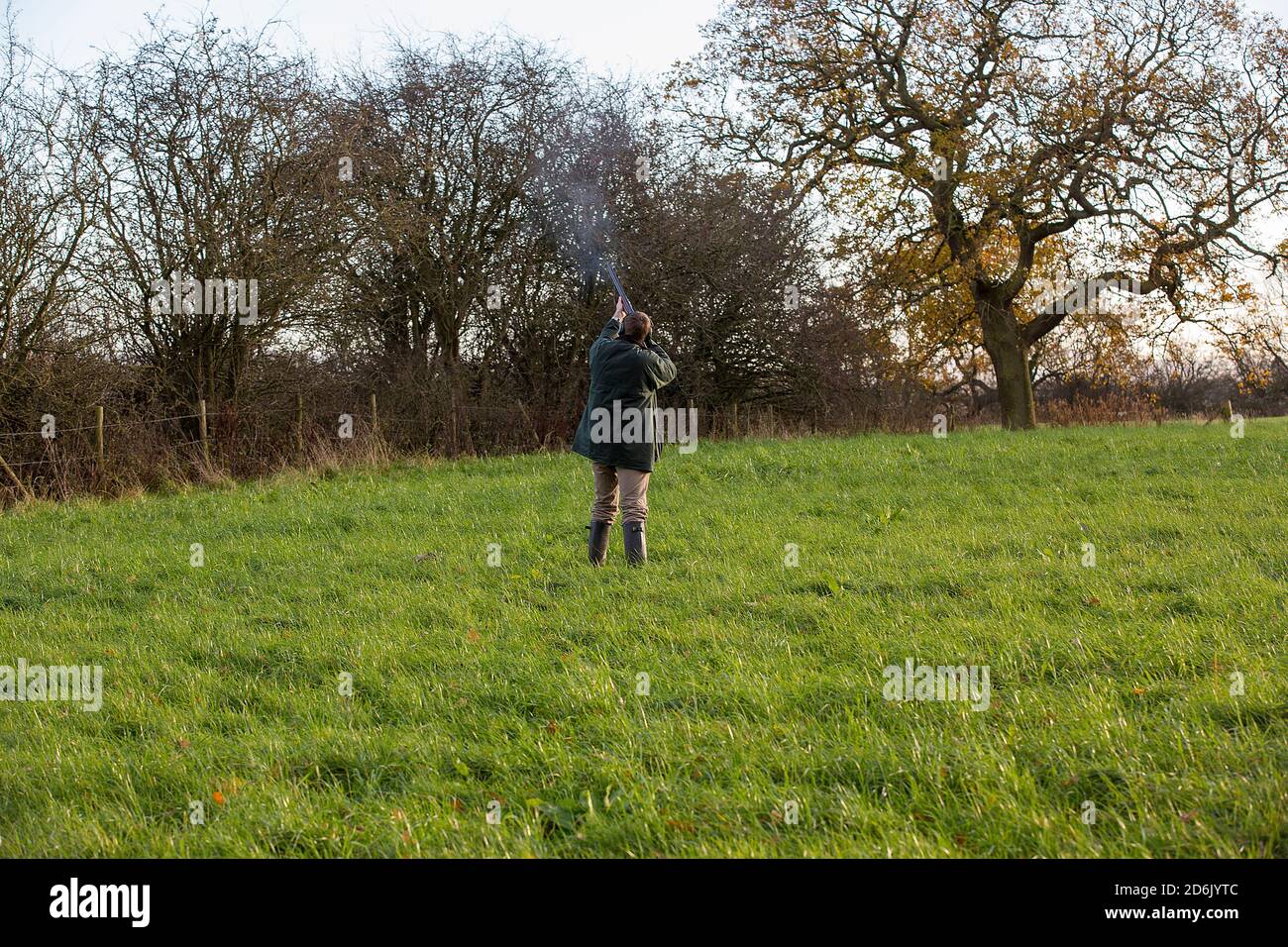 Caccia al fagiano guidato nel Lancashire, Inghilterra Foto Stock