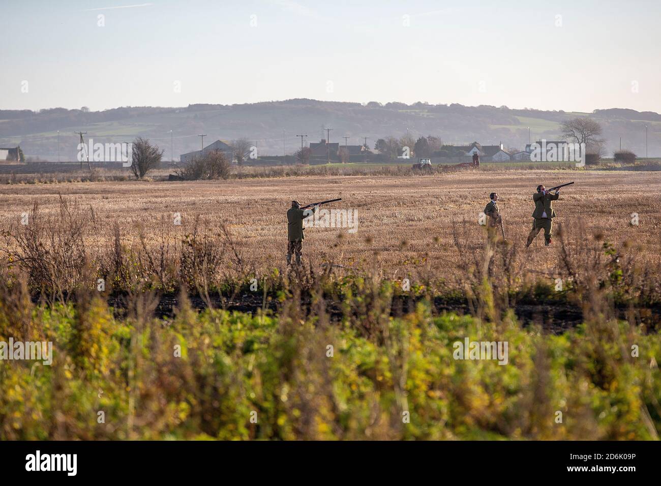 Caccia al fagiano guidato nel Lancashire, Inghilterra Foto Stock