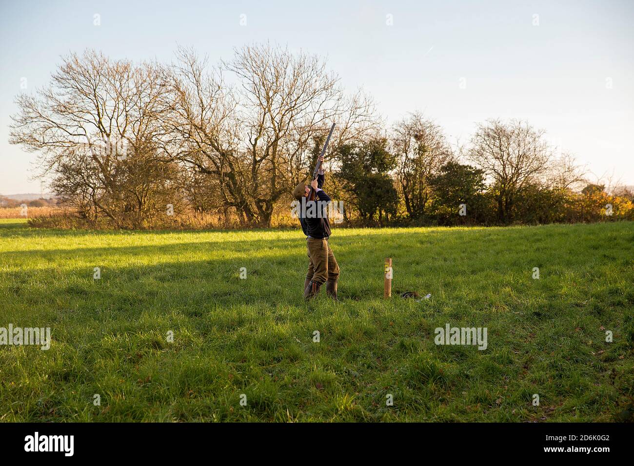 Caccia al fagiano guidato nel Lancashire, Inghilterra Foto Stock