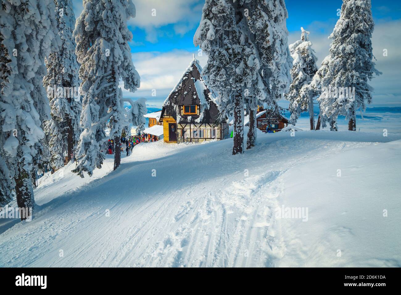 Maestoso scenario invernale con carino rifugio e spettacolari pini innevati, Carpazi, Romania, Europa Foto Stock