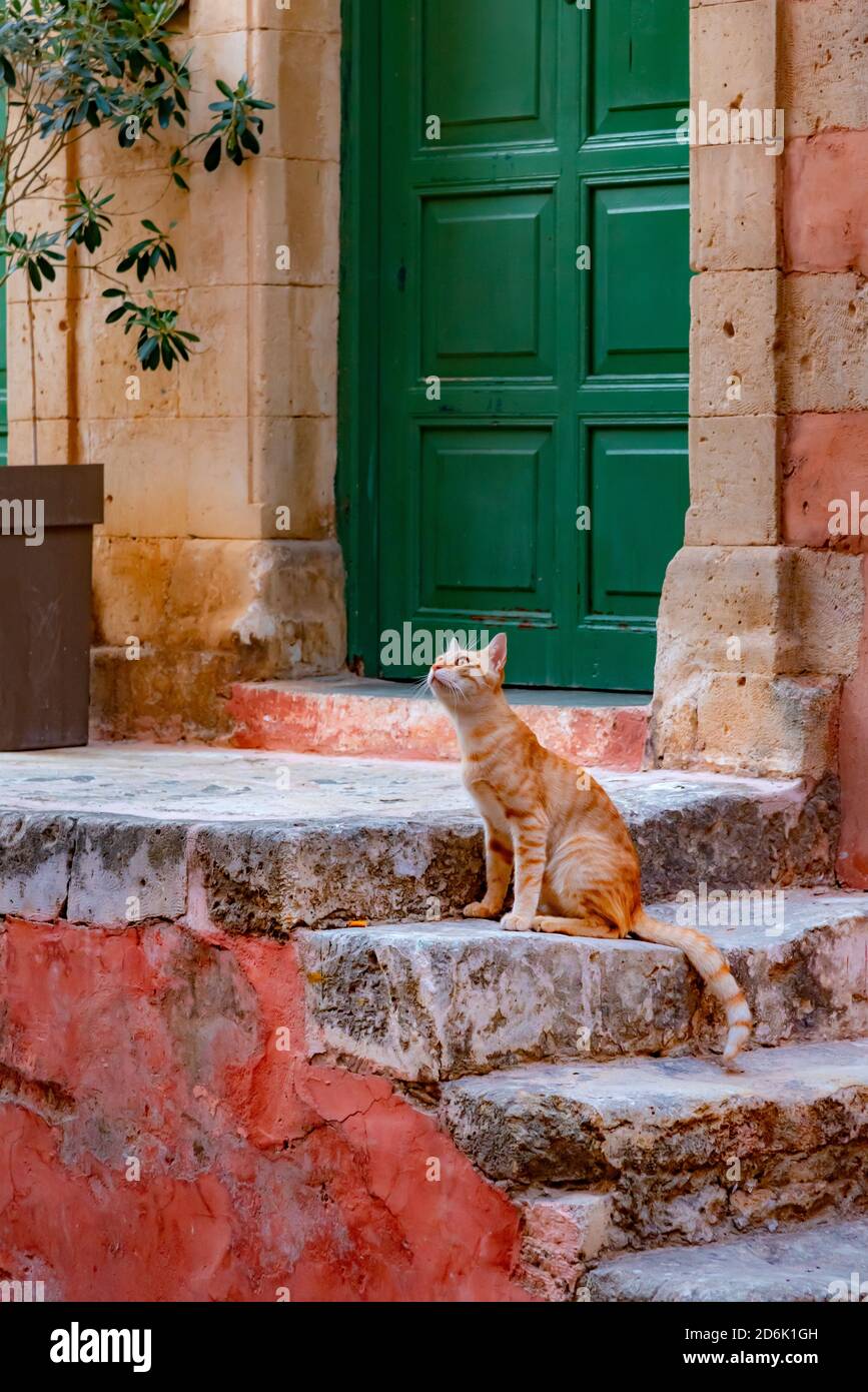 Strade nel centro storico di la Canea, Creta, Grecia. Foto Stock