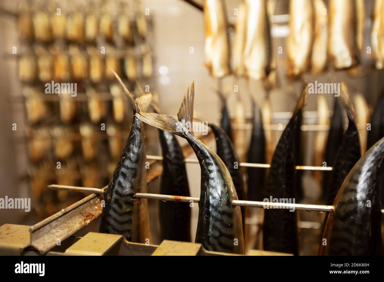 Produzione industriale di pesce affumicato. Fabbrica di pesce. Foto Stock