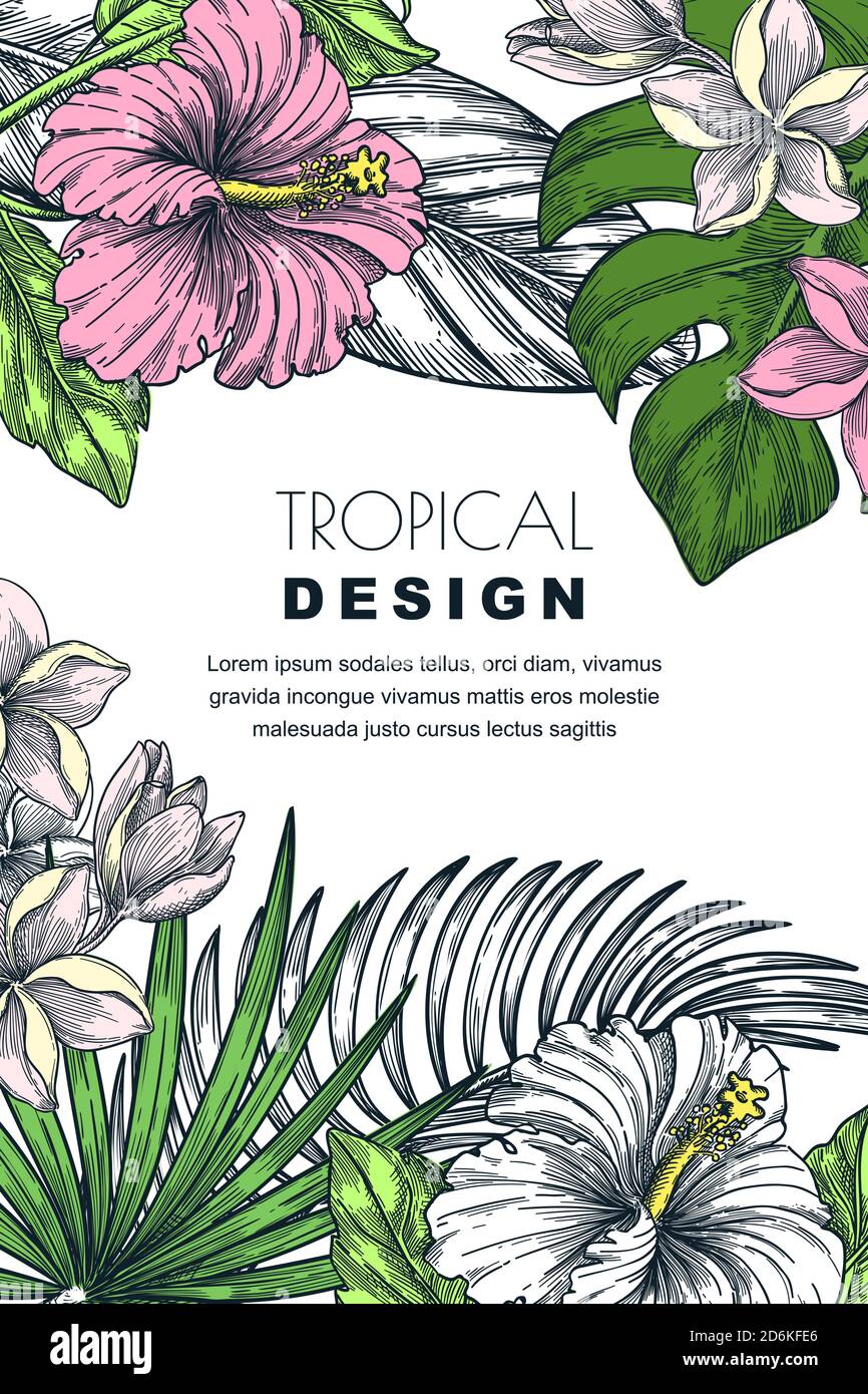 Poster, striscione o cornice di biglietti d'auguri con foglie di palma tropicali, fiori di hibiscus e plumeria. Vettore disegno a mano illustrazione di giungla esotico Illustrazione Vettoriale