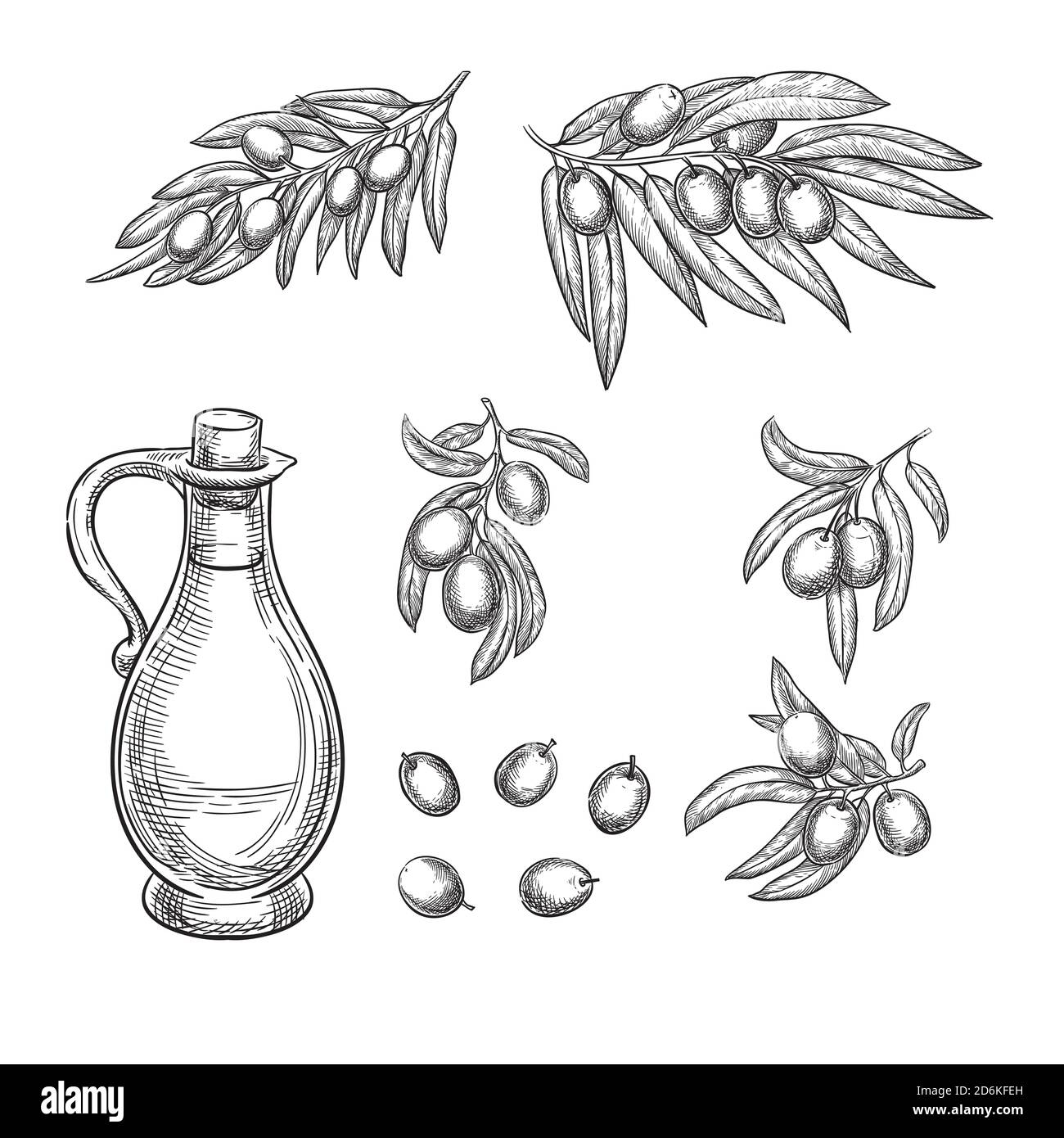 Rami di olive e olio d'oliva disegno vettoriale. Elementi di progettazione isolati disegnati a mano. Illustrazione Vettoriale