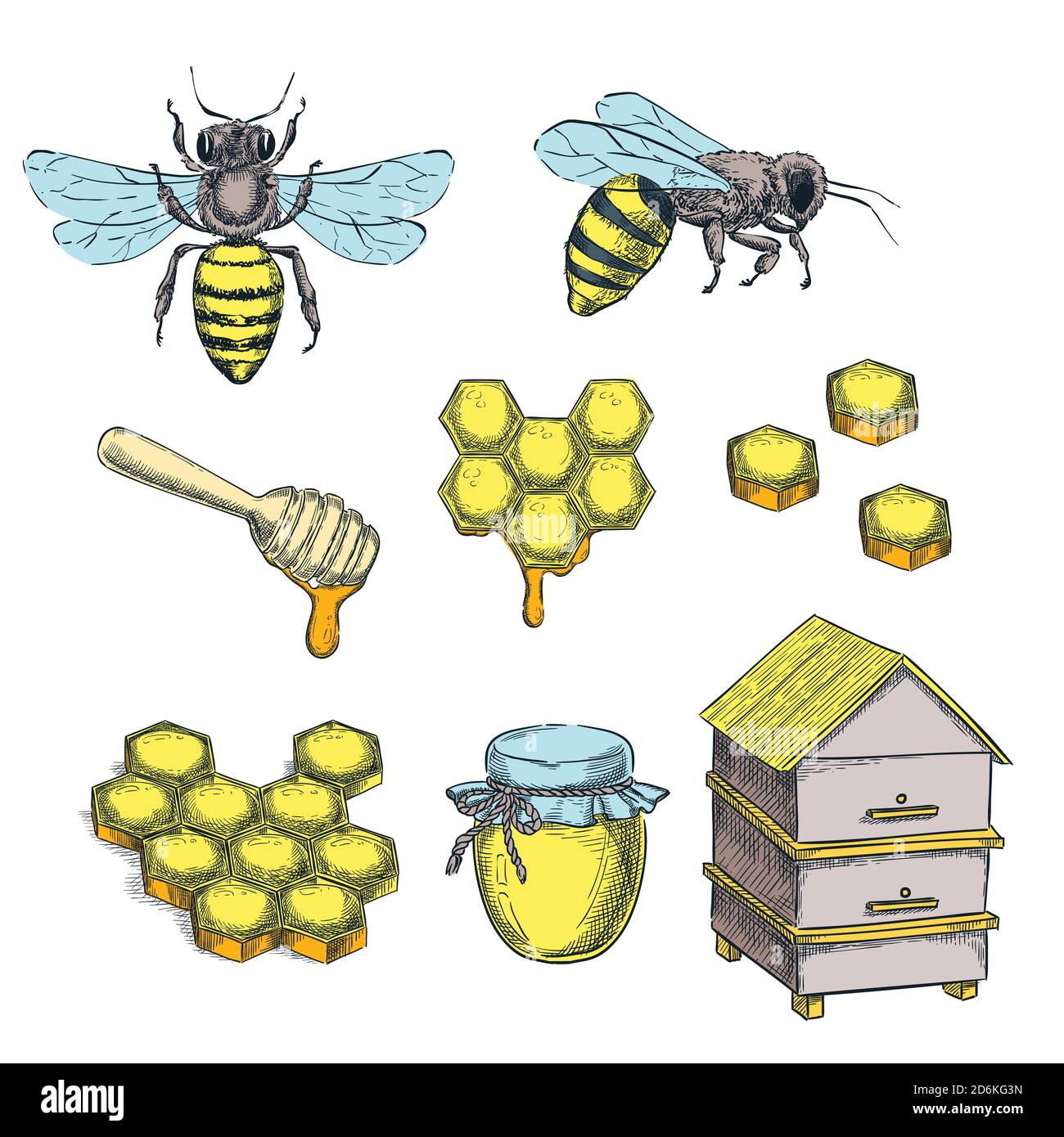 Illustrazione vettoriale dello schizzo del colore del miele e dell'ape. Nido d'ape, pentola e alveare disegnati a mano elementi di design isolati Illustrazione Vettoriale