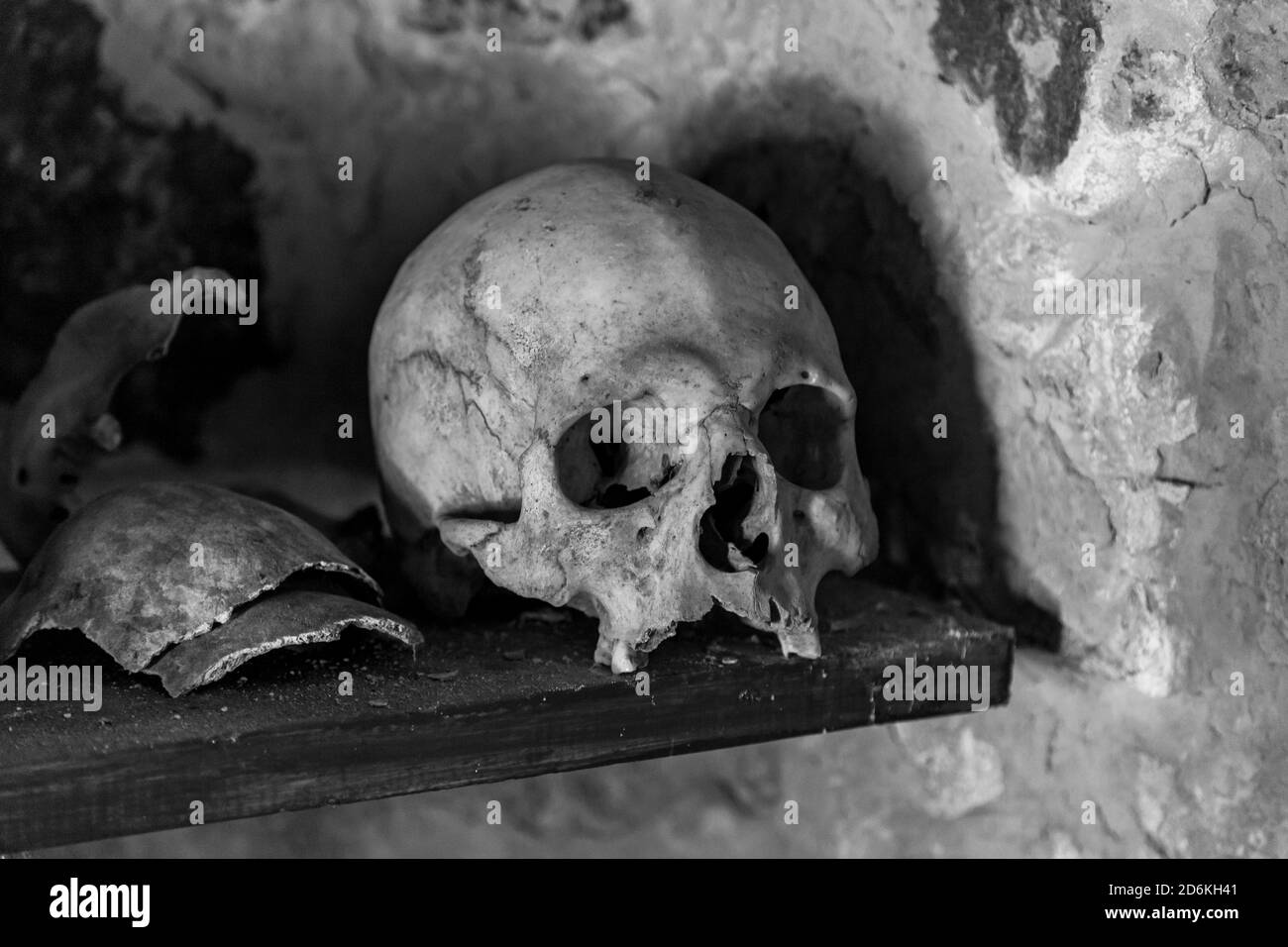 Teschi umani su una mensola di legno in una cripta di pietra Foto Stock