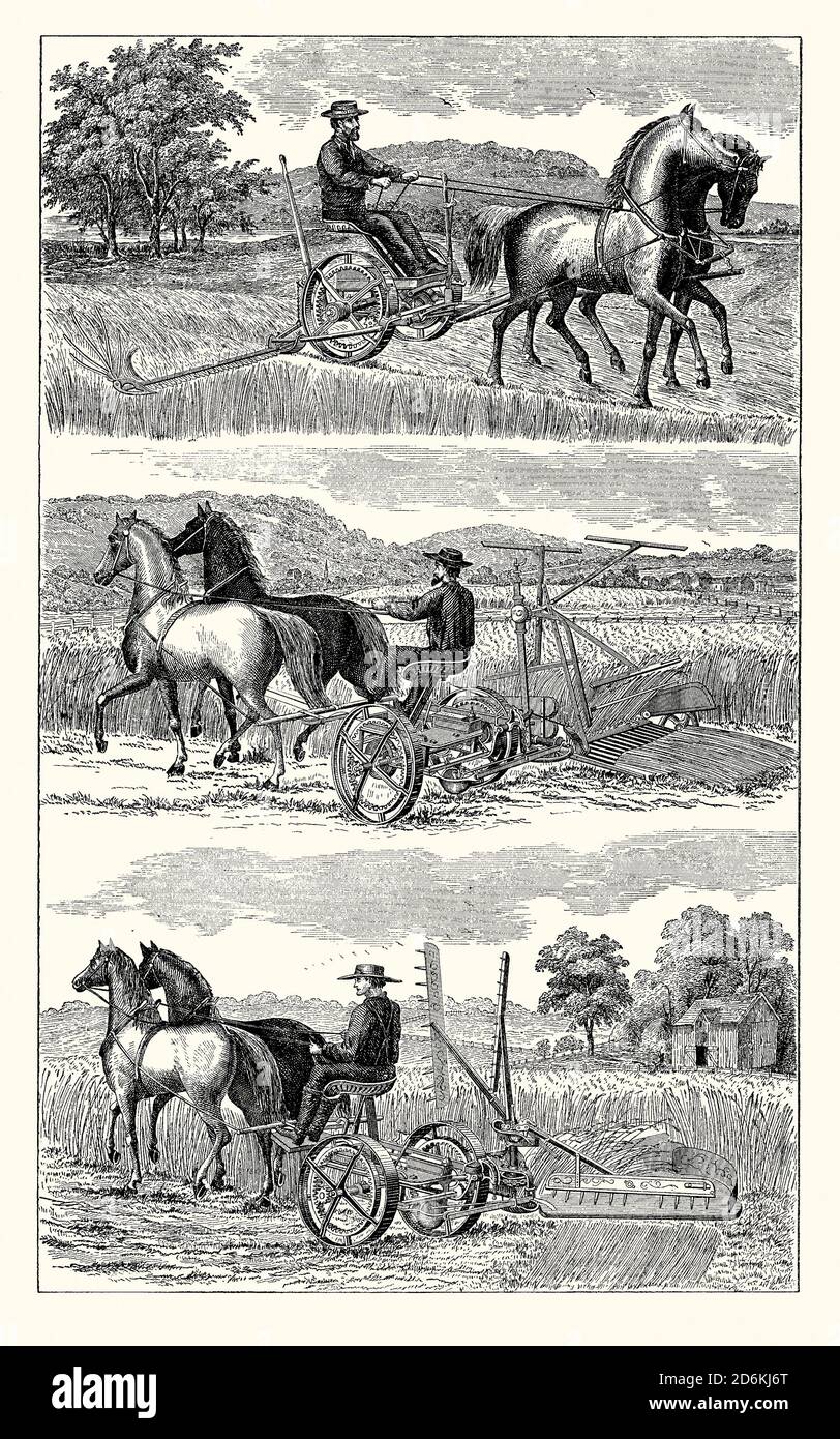 Una vecchia incisione della mietitrice o mietitore ‘campione’. E 'da un libro di ingegneria meccanica vittoriana del 1880. La figura mostra l'attrezzo utilizzato come rasaerba (in alto), contagocce (al centro) e autoimballatrice (in basso). Un mietitore è un attrezzo agricolo o una persona che raccoglie (taglia e spesso raccoglie) raccolti (di solito cereali) al momento del raccolto. La maggior parte dei reapers meccanici moderni tagliano l'erba; la maggior parte inoltre la raccolgono. I riassettatori meccanici hanno sostanzialmente cambiato l’agricoltura dal loro aspetto nel 1830 fino alla fine di quel secolo, quando si sono evoluti in macchine ‘combinate’. Foto Stock