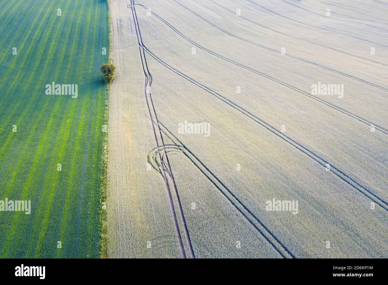 Colpo di drone di un campo agricolo al tramonto, Skanderborg, Danimarca. Foto Stock