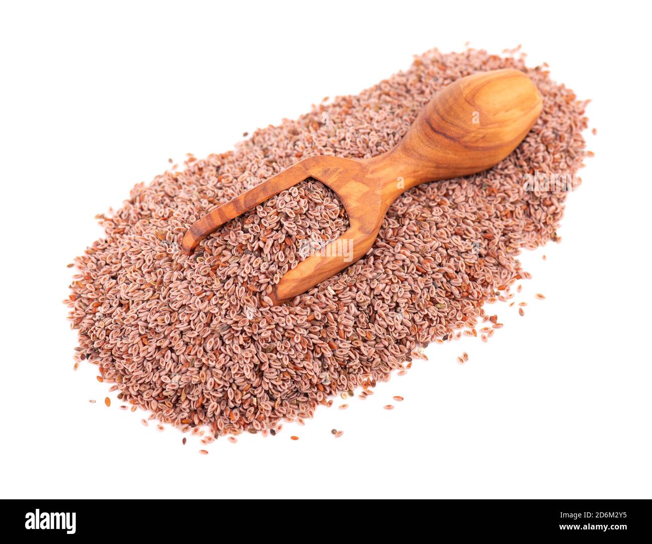 Semi di ovata di Plantago, isolati su sfondo bianco. Plantain, pulci indiani o semi di psyllium in paletta di legno. Foto Stock