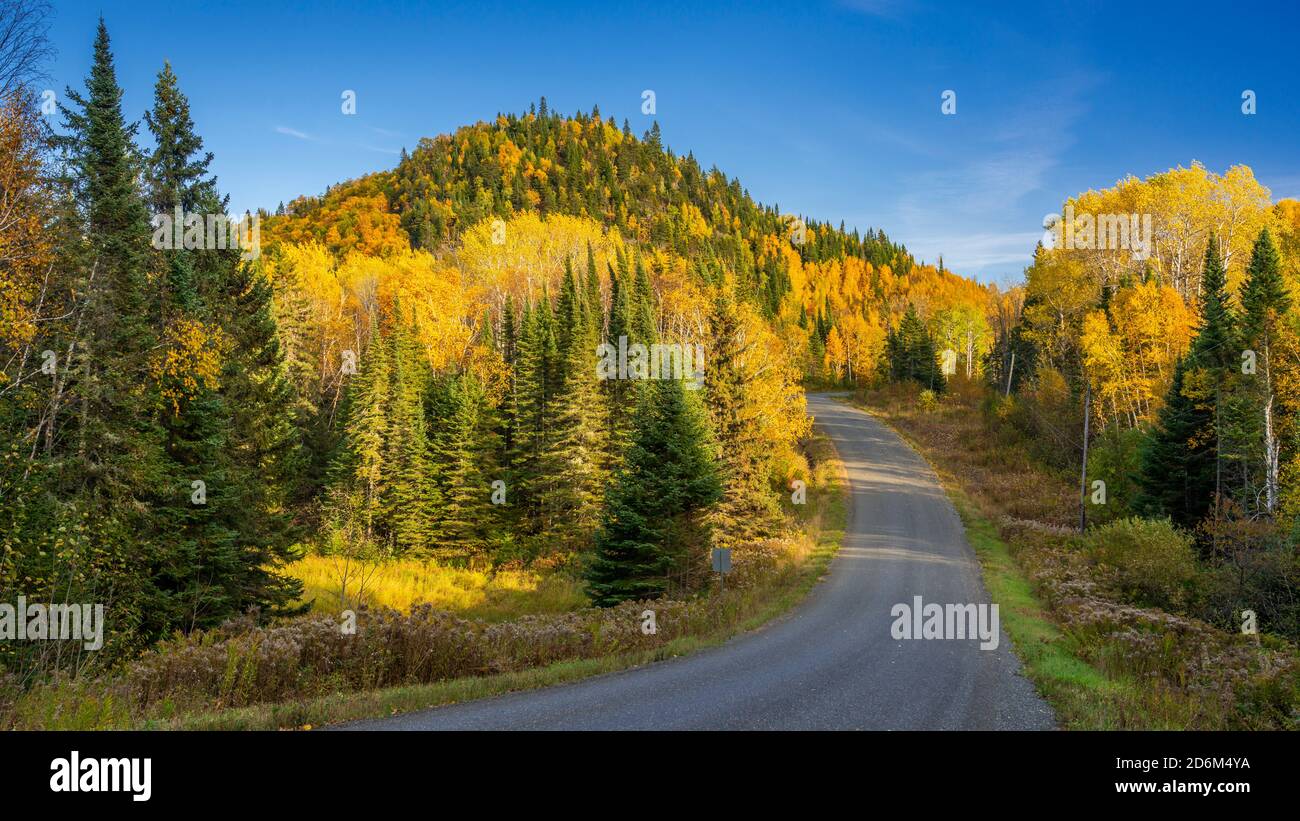 Colore del fogliame autunnale lungo la Memory Road vicino al Pigeon River Provincial Park, Ontario, Canada. Foto Stock