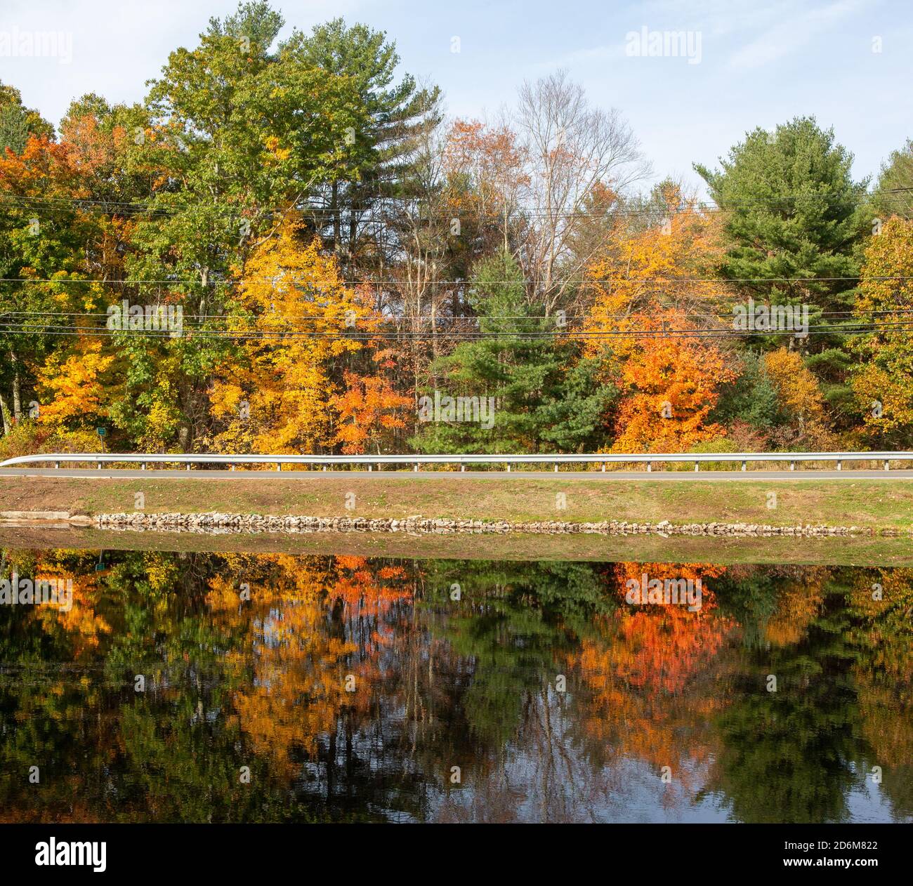 Colori autunnali del fogliame del New England Foto Stock