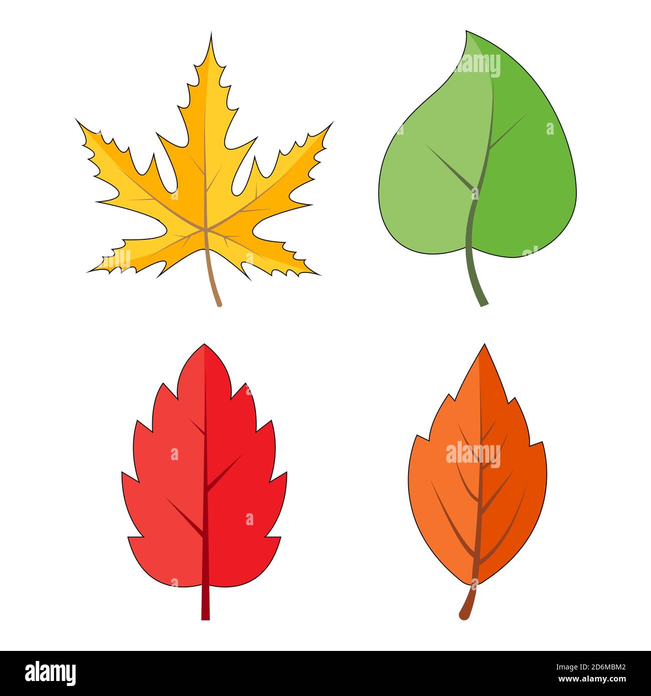 Foglie autunnali isolate su bianco. Collezione colorata di foglie cadenti. Giallo, arancione, rosso, verde, colori. Illustrazione del fogliame vettoriale autunnale. Mare Illustrazione Vettoriale