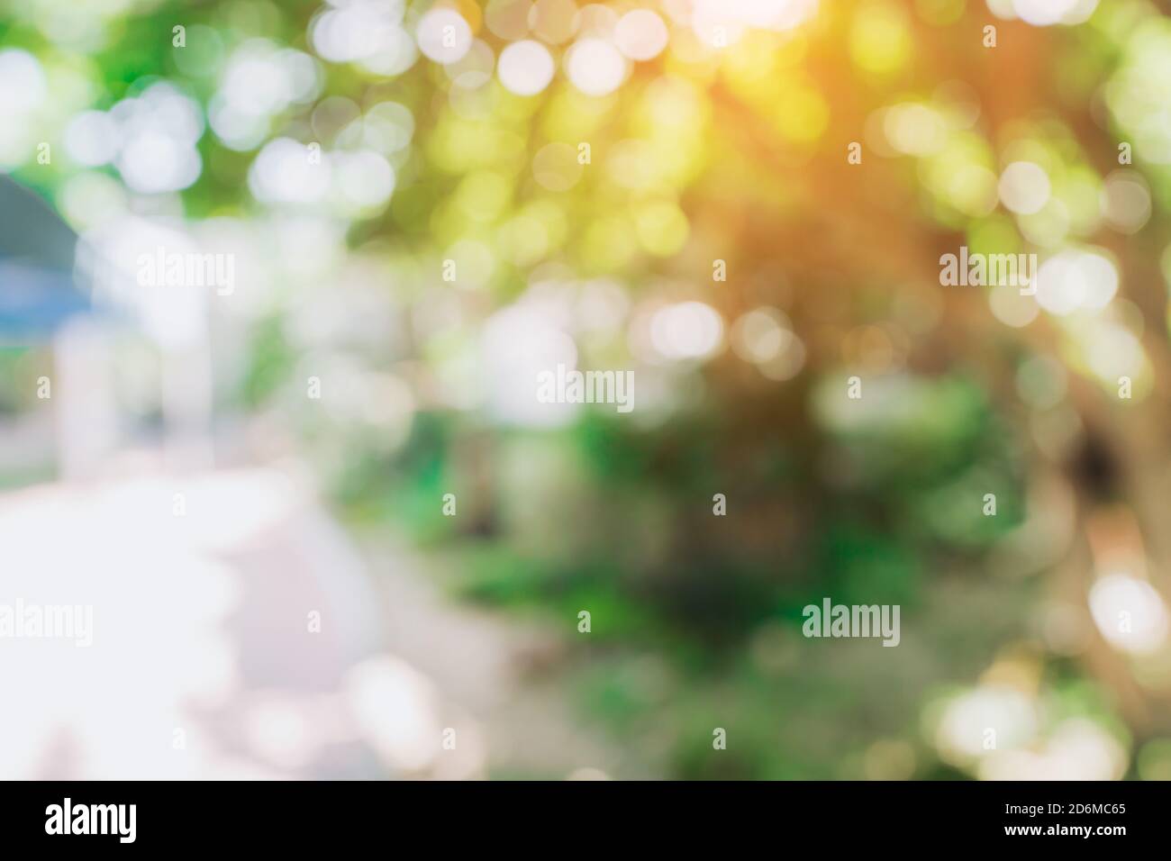 Bokeh sfocati e la sfocatura sullo sfondo di un giardino di alberi nella luce solare. Foto Stock