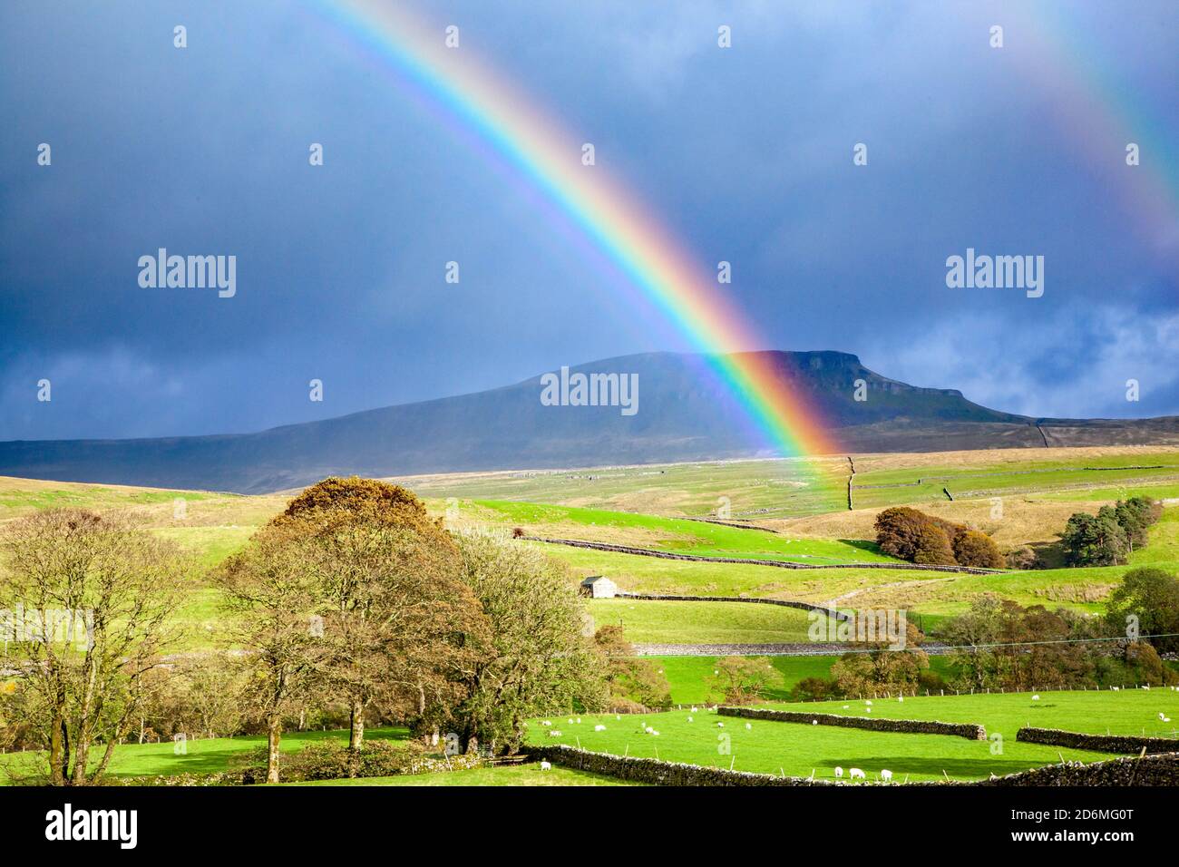 Arcobaleno su Yorkshire dales campagna terreni agricoli con la montagna di Pen-y-gand sulla strada Pennino in lontananza Foto Stock