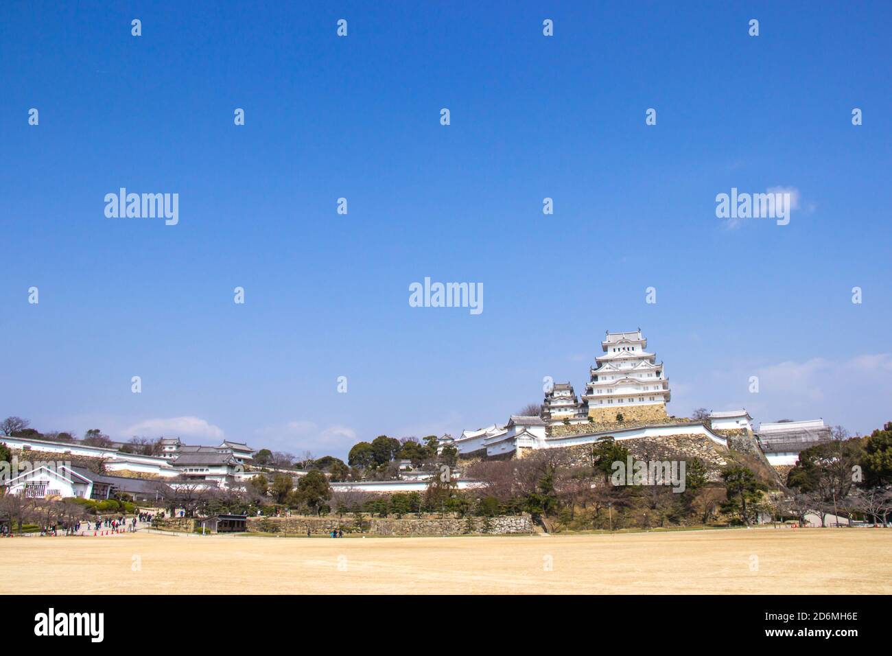 Il castello di Himeji durante la fioritura dei ciliegi fiorirà nella prefettura di Hyogo, in Giappone. Foto Stock