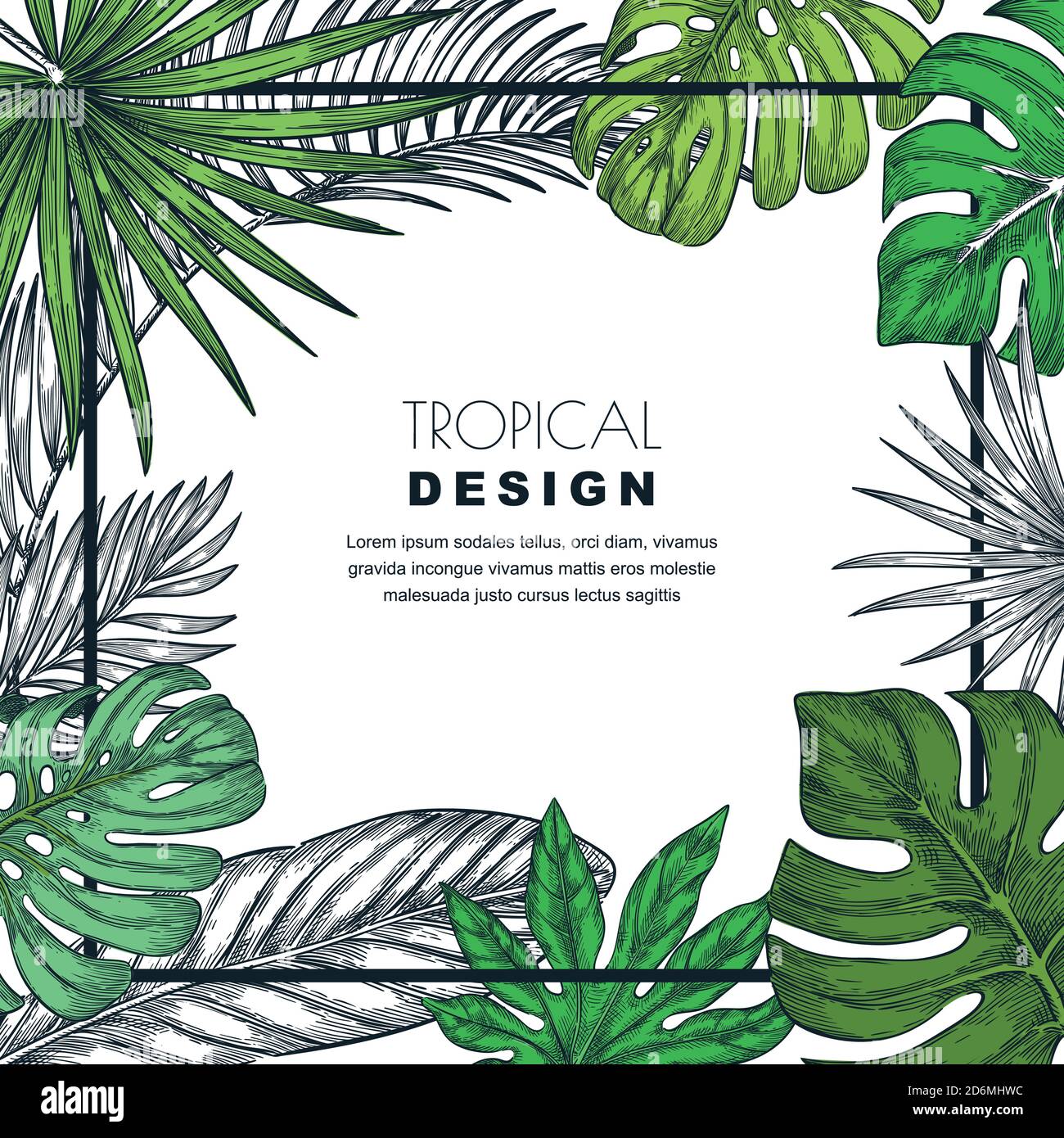 Cornice quadrata tropicale con foglie di palma verdi. Vettore disegno a mano illustrazione di piante esotiche giungla. Poster, banner o modello di biglietto d'auguri. Illustrazione Vettoriale