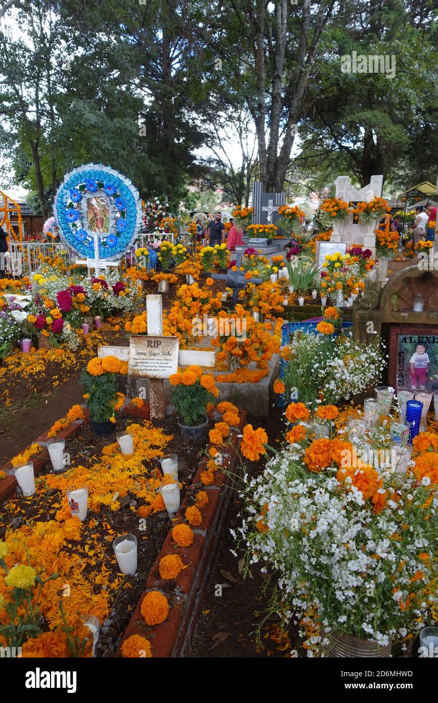 I marigolds conosciuti in Messico, come 'il fiore dei morti' decorano tombe a Patzcuaro durante il giorno dei morti, quando le famiglie ricordano i loro cari. Foto Stock