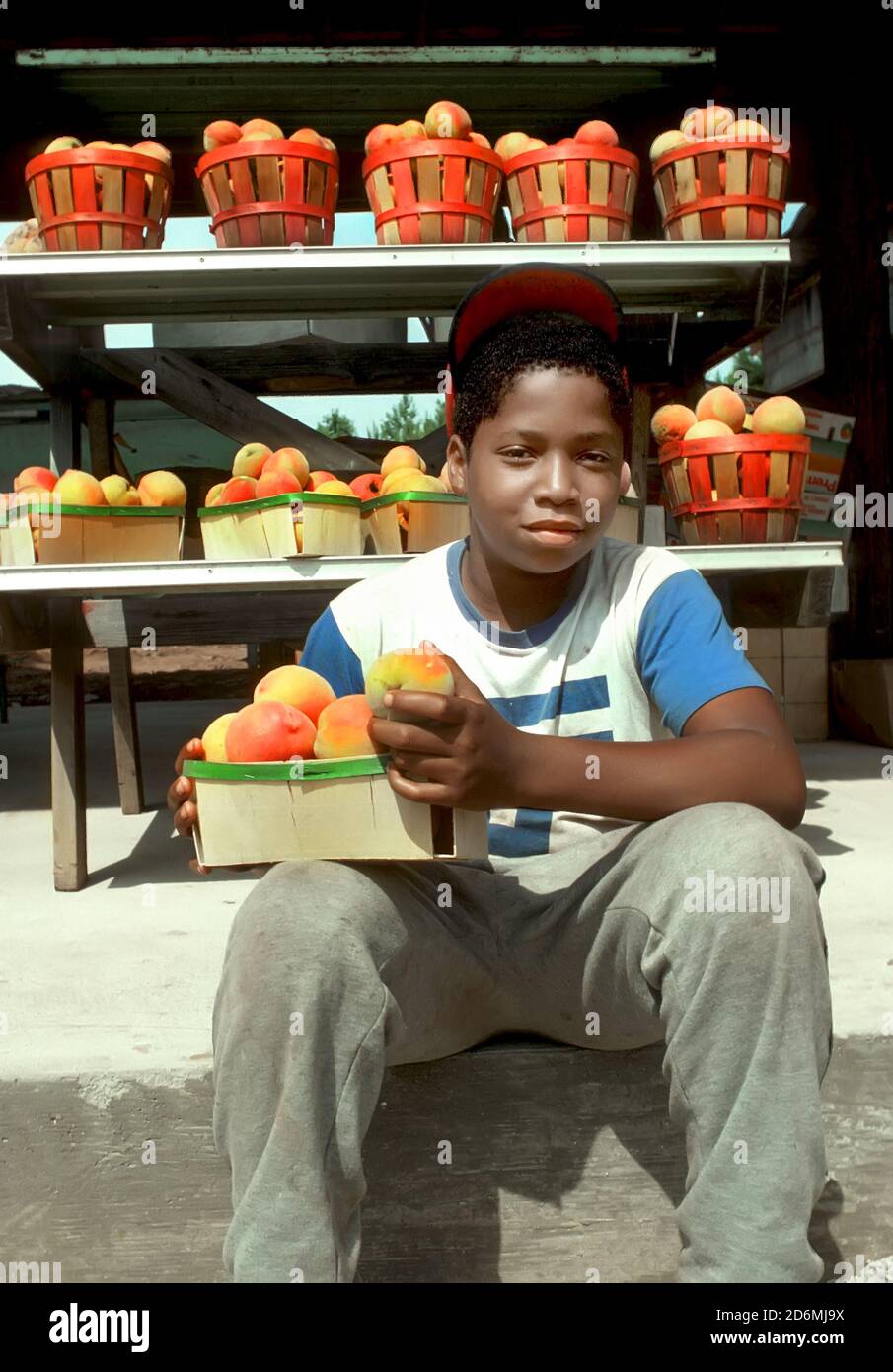 13 anni nero afroamericano ragazzo aiuta i suoi genitori Vende pesche a un cavalletto laterale - Georgia GA Foto Stock