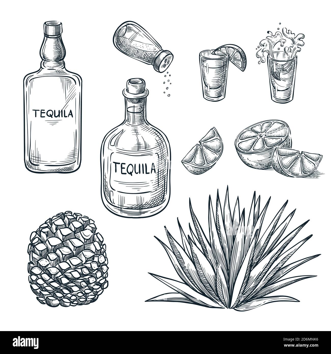 Bottiglia di tequila, shot glass e ingredienti, disegno vettoriale. Elementi di design del menu delle bevande alcoliche messicane. Agave pianta e radice illustrazione. Illustrazione Vettoriale