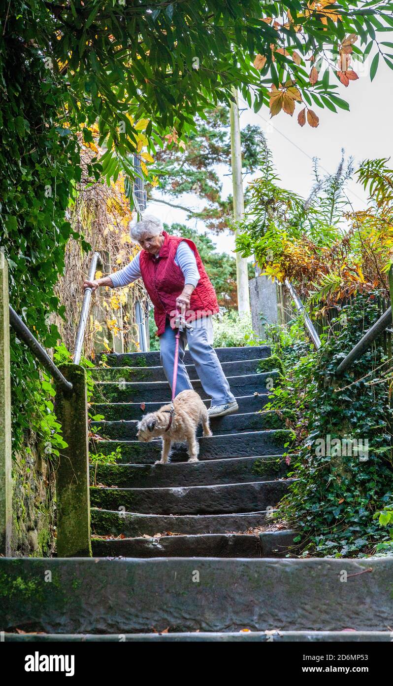 Anziano anziano anziano anziano pensionato anziano che cammina cane giù il Passi radicali a Kirkby Lonsdale Inghilterra UK Foto Stock