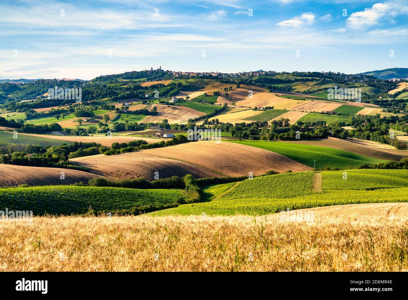 Campagna, paesaggio e campi coltivati. Marche, Italia Foto Stock
