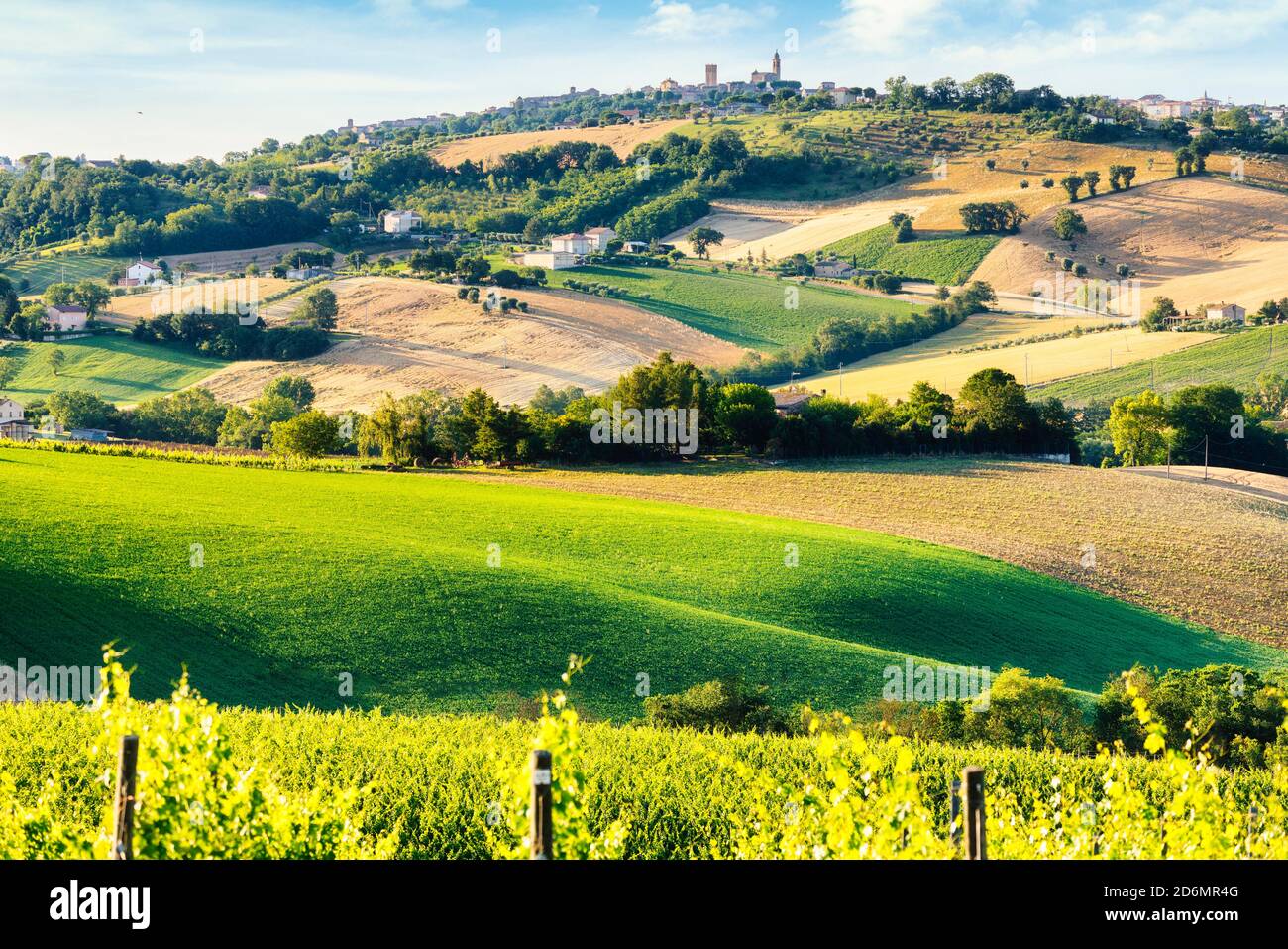 Campagna, paesaggio e campi coltivati. Marche, Italia Foto Stock
