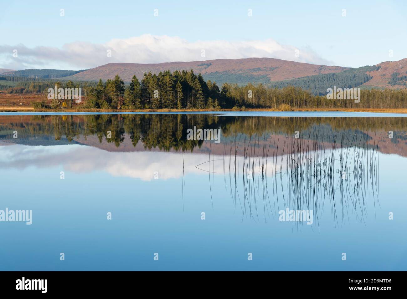 Riflessioni a Stroan Loch in autunno, Galloway Forest, Dumfries & Galloway, Scozia Foto Stock