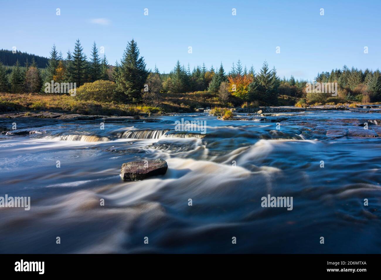 Piscine Otter in autunno, fiume Dee, Galloway Forest, Dumfries & Galloway, Scozia Foto Stock