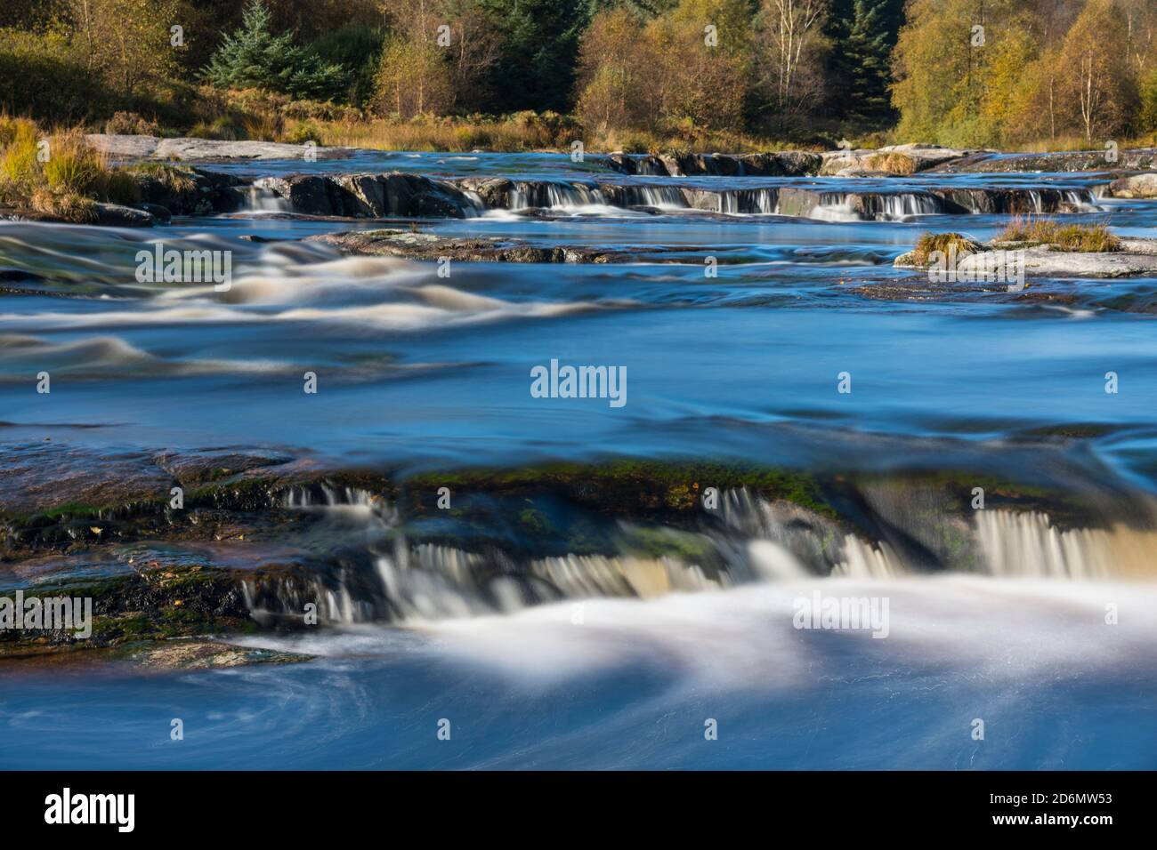 Piscine Otter in autunno, fiume Dee, Galloway Forest, Dumfries & Galloway, Scozia Foto Stock