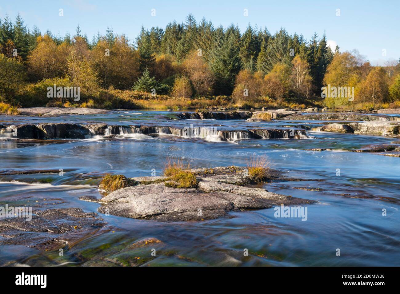 Piscine Otter in autunno, fiume Dee, Galloway Forest, Dumfries & Galloway, Scozia Foto Stock
