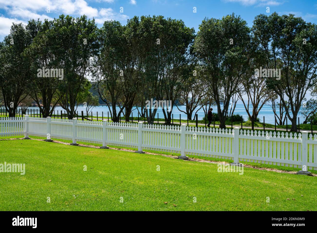 Recinzione bianca attraverso il prato verde con fila di alberi di pohutukawa e Man o' War Bay dietro. Foto Stock