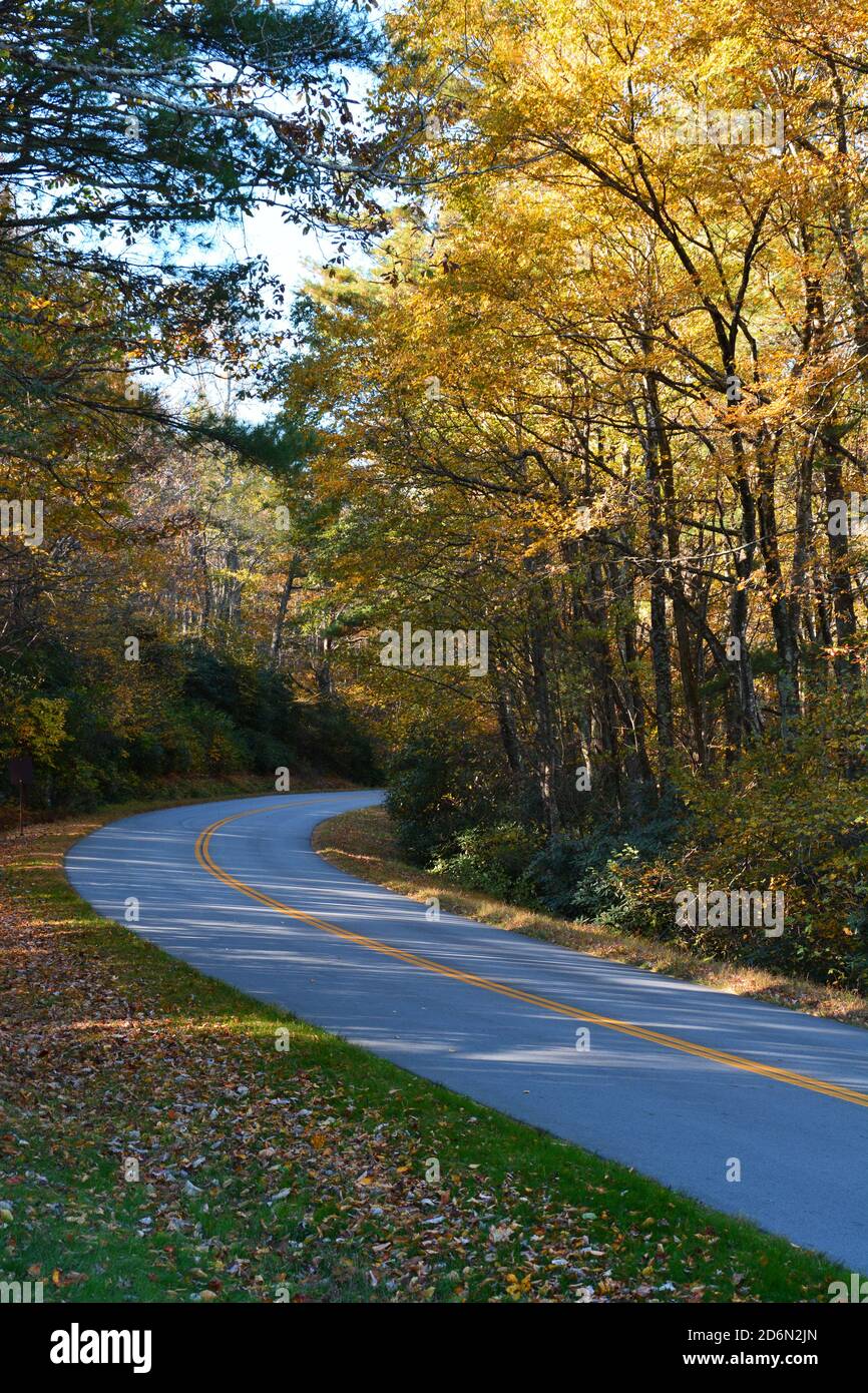 Una sezione della strada sulla Blue Ridge Parkway durante l'autunno. Foto Stock