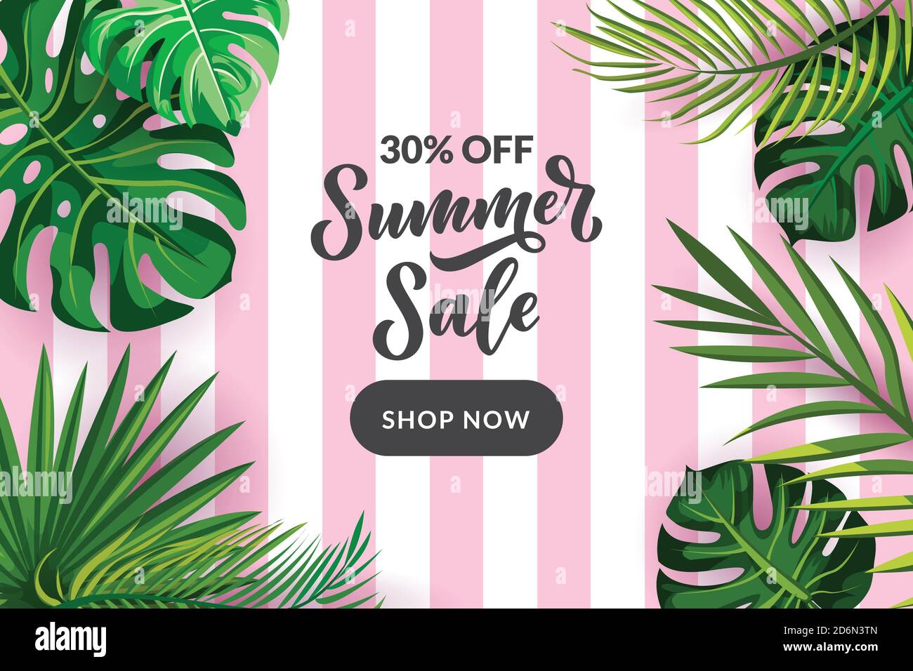 Tropicale estate verde sfondo cornice. Vendita banner, volantino o poster modello con calligrafia disegnata a mano. Foglie di palma sulla striscia rosa Illustrazione Vettoriale