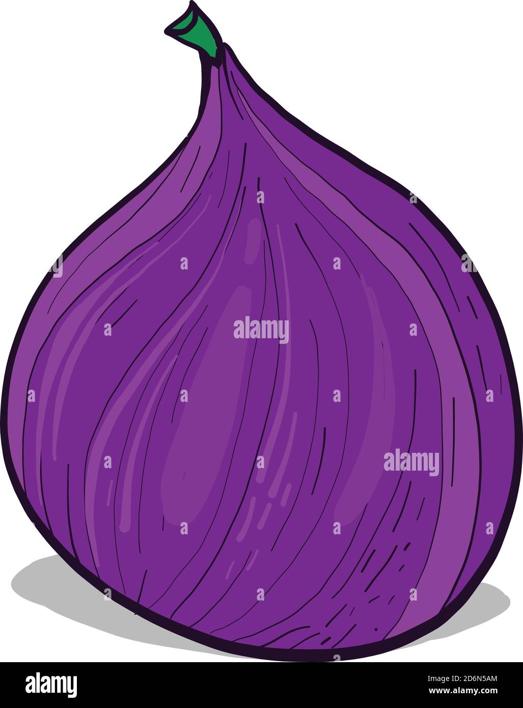 Interessante fig, illustrazione, vettore su sfondo bianco Illustrazione Vettoriale