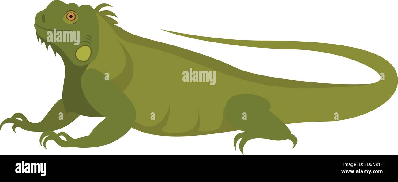 Iguana verde, illustrazione, vettore su sfondo bianco Illustrazione Vettoriale