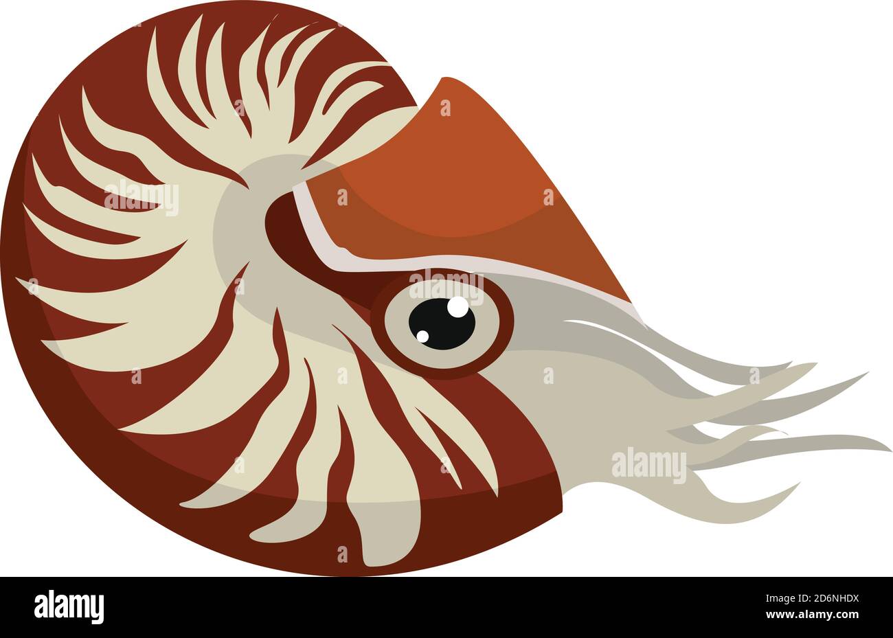 nautilus rosso, illustrazione, vettore su sfondo bianco Illustrazione Vettoriale