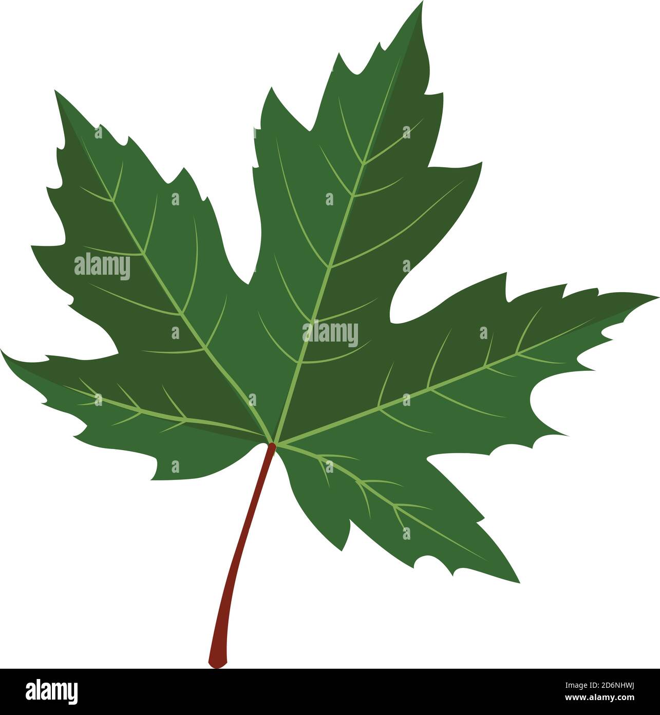 Foglia d'acero, illustrazione, vettore su sfondo bianco Illustrazione Vettoriale